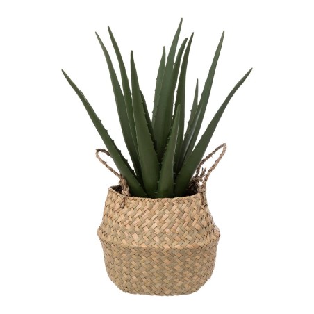 Aloe vera artificiel en pot en roseau H.40 cm