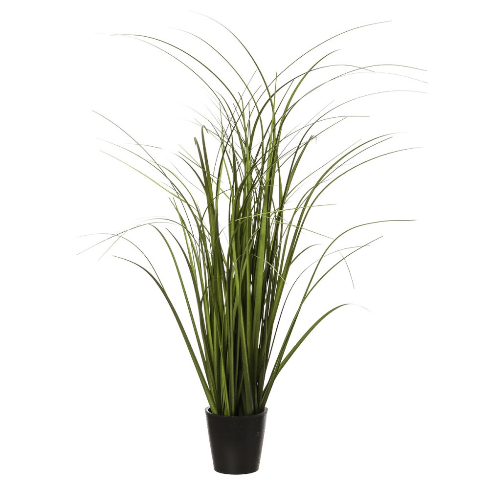 Herbe en pot H.58 cm