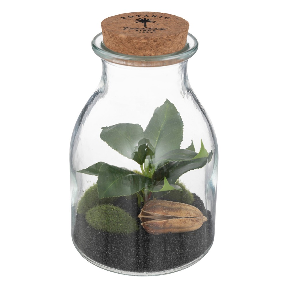 Terrarium en verre H.19,5 cm